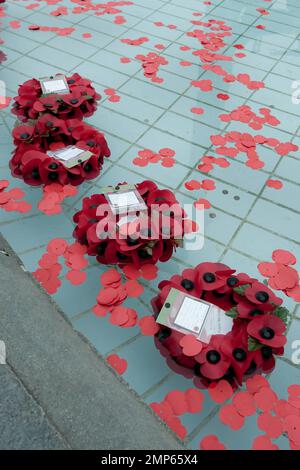 Papaveri collocati nelle fontane all'annuale evento Silence in the Square che si tiene a Trafalgar Square. La cerimonia che ha commemorato coloro che sono morti in due guerre mondiali, tra cui 385 membri del personale britannico uccisi in Afghanistan dal 2001, è iniziata alle 11:00 del mattino, rispecchiando allo stesso tempo le pistole lungo il fronte occidentale sono caduti in silenzio per l'ultima volta alla fine della prima guerra mondiale nel 1918. Nel Regno Unito milioni di persone hanno osservato un silenzio di due minuti per celebrare la Giornata dell'armistizio. Londra, Regno Unito. 11th novembre 2011. . Foto Stock