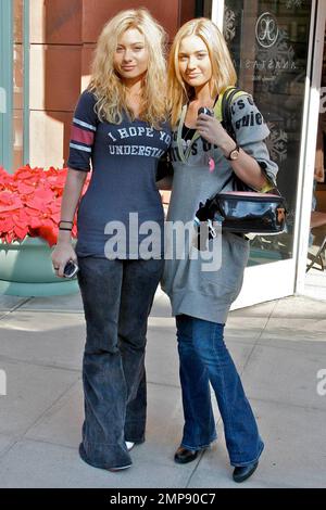 Aly and AJ, conosciuta anche come Alyson Renae 'Aly' e Amanda Joy 'AJ' Michalka, si diverti a fare shopping a Beverly Hills, California. 12/5/07. Foto Stock