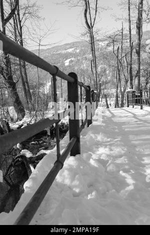 Neve carinzia paesaggio sul lago ossiach soleggiata giornata invernale Foto Stock