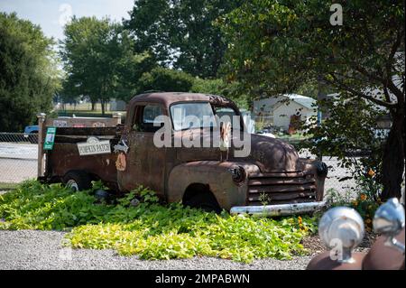 Un particolare di un vecchio, arrugginito Chevrolet Advance Design furgone abbandonato nel giardino circondato da alberi durante il giorno Foto Stock