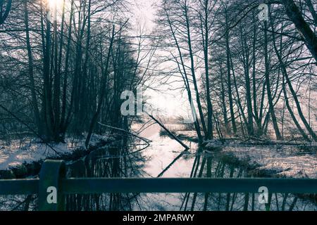 Neve carinzia paesaggio sul lago ossiach soleggiata giornata invernale Foto Stock