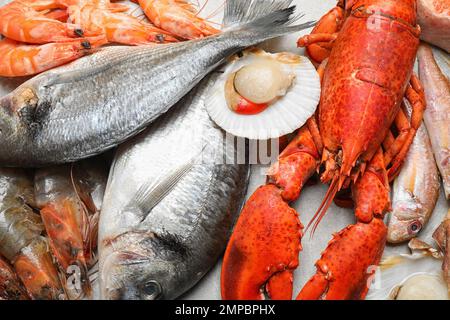 Pesce fresco e frutti di mare su tavola di marmo Foto Stock