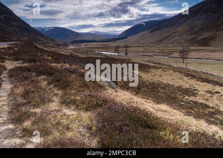 Clunie Water che si nutre attraverso il Cairngorms National Park, Scozia, Regno Unito. Marzo 2022 Foto Stock
