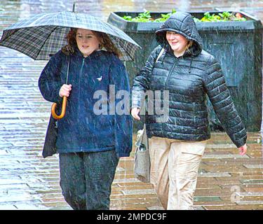 Glasgow, Scozia, Regno Unito 31stt gennaio 2023. UK Weather: Freddo e bagnato nel miglio di stile di Buchanan Street ha visto gli ombrelli dominare le strade come si riversava in città. Credit Gerard Ferry/Alamy Live News Foto Stock