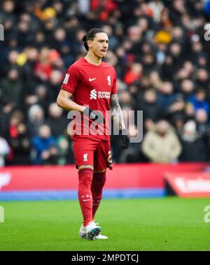 Darwin Nunez di Liverpool durante la partita della Emirates fa Cup Fourth Round tra Brighton & Hove Albion e Liverpool all'American Express Community Stadium , Brighton , UK - 29th gennaio 2023 Foto Simon Dack/Telephoto Images. Solo per uso editoriale. Nessun merchandising. Per le immagini di calcio si applicano le restrizioni di fa e Premier League inc. Nessun utilizzo di Internet/cellulare senza licenza FAPL - per i dettagli contattare Football Dataco Foto Stock