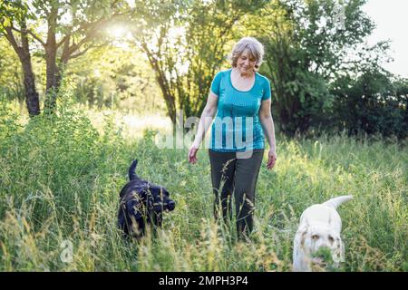 Donna anziana dai capelli grigi con i suoi cani nel parco. Ritratto di una donna anziana sorridente seduta all'esterno con le sue labrador dorate e nere sull'erba. Foto Stock