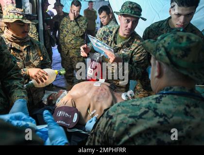 2nd il personale medico del battaglione medico si prepara ad operare su una tuta chirurgica durante un evento di incidente di massa simulato come parte dell'esercizio Carolina Response. La tuta chirurgica è di proprietà del Naval Medical Center Camp Lejeune ed è utilizzata da varie unità mediche per l'addestramento alla cura dei traumi. Foto Stock