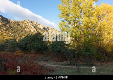 Negli altopiani della Sierra Norte, Spagna Foto Stock