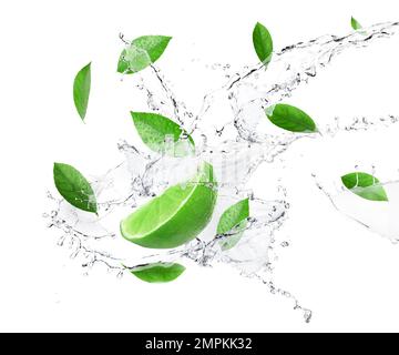 Lime mature, menta fresca e spruzzi d'acqua su fondo bianco Foto Stock