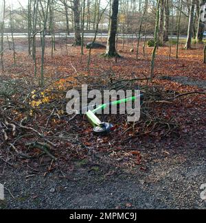 Scooter abbandonato che posa nel parco accanto ad alberi morti Foto Stock