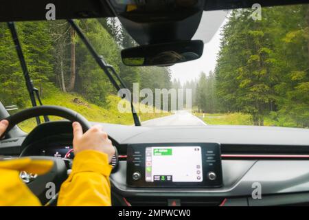 Il turista guida l'auto attraverso il passaggio in montagna alpina con alberi alti. Il viaggiatore guida l'automobile con la navigazione di Google sulla strada tortuosa fra gli alberi spessi nella foresta di montagna, gennaio 2023, Belluno, Italia Foto Stock