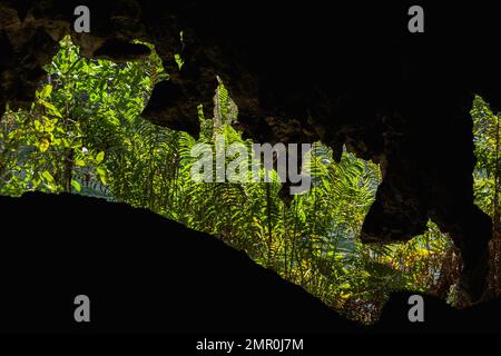 Stalattiti della grotta calcarea all'aperto situata nel parco Mirador del Este di Santo Domingo, Repubblica Dominicana. Grotta Los Tres Ojos o i tre Foto Stock