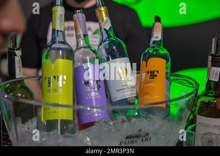 Kyiv, Ucraina - 06 giugno 2021: Diverse bottiglie di vino portoghesi si presentano al Food and Wine Fest. Foto Stock
