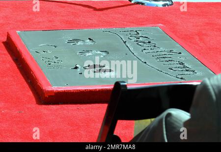 Dame Helen Mirren è onorata con una cerimonia di mano e impronta al Grauman's Chinese Theatre. Mirren, che è stato introdotto dall'attore e comico Russell Brand durante la cerimonia, ha accidentalmente caduto il suo braccialetto nel cemento bagnato durante l'evento. Hollywood, California. 3/28/11. Foto Stock