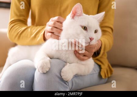 Giovane donna con il suo bel gatto bianco a casa, primo piano. Animale domestico soffice Foto Stock