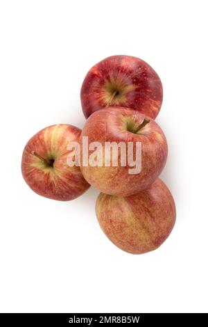 Mela, mela (Malus domestica), fotografia di cibo, sfondo bianco Foto Stock