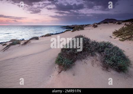 Alba, Costa, El Jable shifting sabbia zona dune, Las Dunas de Corralejo, Parque Natural de Corralejo, Fuerteventura, Isole Canarie, Spagna, Europa Foto Stock