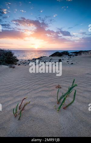 Alba, Costa, El Jable shifting sabbia zona dune, Las Dunas de Corralejo, Parque Natural de Corralejo, Fuerteventura, Isole Canarie, Spagna, Europa Foto Stock