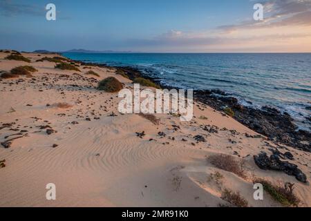 Alba, Costa, El Jable shifting sabbia zona dune, Las Dunas de Corralejo, Parque Natural de Corralejo, Fuerteventura, Isole Canarie, Spagna, Europa Foto Stock