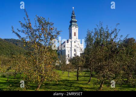 Abbazia di Engelszell, Monastero Trappista, Engelhartszell, Innviertel, Austria superiore, Austria, Europa Foto Stock