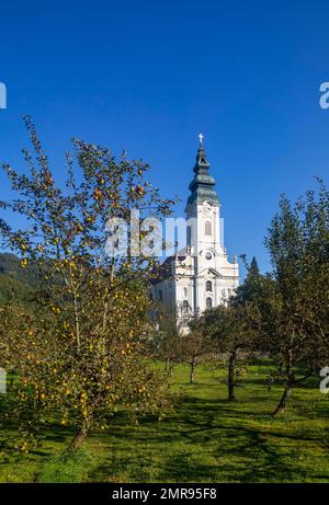 Abbazia di Engelszell, Monastero Trappista, Engelhartszell, Innviertel, Austria superiore, Austria, Europa Foto Stock