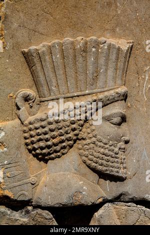 Rilievo particolare, Palazzo di Dario, Persepolis, Persepolis, Iran, Asia Foto Stock