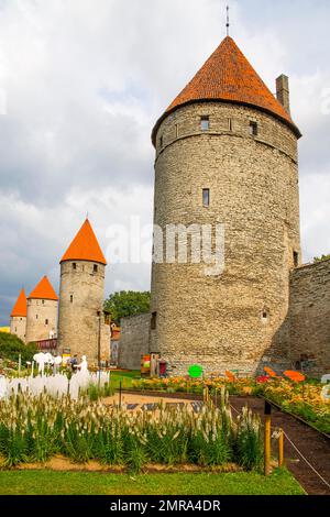 Fortificazione medievale della città con merlature e torri di difesa, Tallinn, Estonia, Tallinn, Estonia, Europa Foto Stock