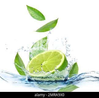 Lime mature, menta fresca e spruzzi d'acqua su fondo bianco Foto Stock