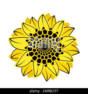 Illustrazione floreale botanica, prato selvaggio girasole isolato su sfondo bianco per modello di biglietto, per libro, copertina, banner. Illustrazione Vettoriale