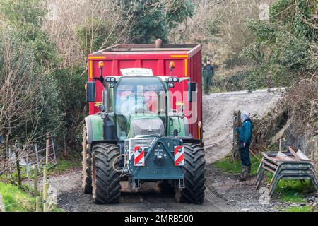 Clounkeen, West Cork, Irlanda. 31st Jan, 2023. Dennehy Harvesting Contractors ha distribuito liquame sui terreni agricoli di Clounkeen l'ultimo giorno di gennaio. Gli appaltatori con sede a Ballyhooley riempiono un serbatoio mobile per liquame tramite le autocisterne New Rock 4000 e pompano l'impasto in uno spanditore con barra di sgranamento. Questa forma di spandimento dei liquami contribuisce a ridurre le emissioni, il che è migliore per l'ambiente. Credit: AG News/Alamy Live News. Foto Stock