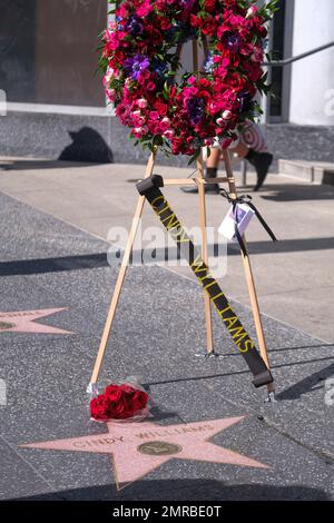 Los Angeles, Stati Uniti. 31st Jan, 2023. Fiori e una corona sono deposti alla stella di Cindy Williams sulla Hollywood Walk of Fame a Los Angeles. Cindy Williams, attrice nota per il suo ruolo nella lunga sitcom “Laverne & Shirley”, è morta mercoledì a Los Angeles. Aveva 75 anni. (Foto di Ringo Chiu/SOPA Images/Sipa USA) Credit: Sipa USA/Alamy Live News Foto Stock