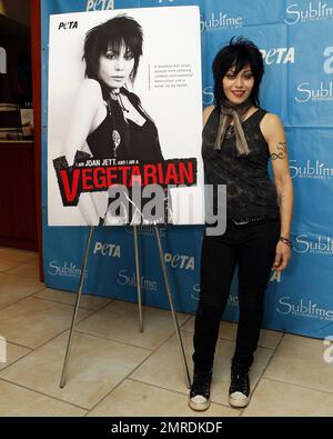 La leggendaria cantante/cantautrice Joan Jett, sostenitrice della PETA, è onorata per la sua dedizione nella lotta contro la sofferenza animale. Il musicista Iggy Pop è stato a disposizione per mostrare supporto e presentare Joan con il Nanci Alexander Activist Award al Sublime di Fort Lauderdale, Florida. 4th novembre 2012. Foto Stock