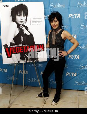 La leggendaria cantante/cantautrice Joan Jett, sostenitrice della PETA, è onorata per la sua dedizione nella lotta contro la sofferenza animale. Il musicista Iggy Pop è stato a disposizione per mostrare supporto e presentare Joan con il Nanci Alexander Activist Award al Sublime di Fort Lauderdale, Florida. 4th novembre 2012. Foto Stock