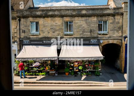 Negozio di impianti a Winchcombe, Inghilterra. Foto Stock