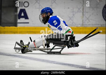 Torino, Italia, Italia. 27th Jan, 2023. Italia, Torino 27 dicembre 2023 PalaTazzoli.10th Torneo Internazionale di Hockey su ghiaccio Para di Torino 2023 .Semifinale : Italia vs Norvegia 2-3,55 Antocchi Eusebiu (Credit Image: © Tonello Abozzi/Pacific Press via ZUMA Press Wire) SOLO PER USO EDITORIALE! Non per USO commerciale! Foto Stock