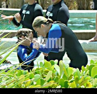 Esclusivo!! KELLY Ripa, ospite del programma televisivo DEGLI STATI UNITI, trascorre una mattinata al Miami Seaquarium con la sua famiglia. Ripa si infilò in una muta e girò un segmento dello spettacolo al Dolphin Harbor, dove la famiglia nuotò con i delfini nell'esperienza Dolphin Odyssey. Dopo il loro divertimento al Seaquarium, il gruppo si dirigerà verso Parrot Jungle Island. Live with Regis and Kelly sta girando dal vivo da Miami tutta la settimana. Miami, Florida 5/2/09 Foto Stock