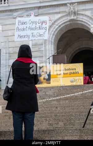 St Paul, Minnesota. Raduno annuale pro life abortire. La marcia MCCL per la vita del 2023 coglie l'occasione per dire ai funzionari eletti che i bambini non nati Foto Stock