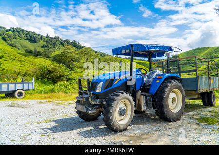 Un trattore blu presso la piantagione di tè BOH a Brincang, Malesia. Foto Stock