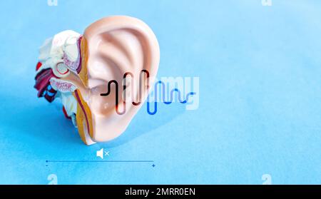 Illustrazione di un modello anatomico dell'orecchio umano con onde sonore luminose su sfondo blu. Foto Stock