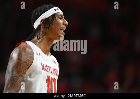 College Park, Maryland, Stati Uniti. 31st Jan, 2023. Maryland Terrapins Forward Julian Reese (10) reagisce durante la partita di basket NCAA tra gli Indiana Hoosiers e i Maryland Terrapins allo Xfinity Center di College Park, MD. Reggie Hildred/CSM/Alamy Live News Foto Stock