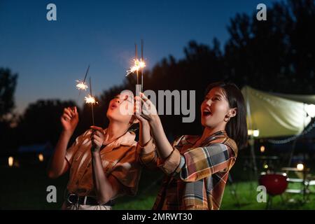 Notte in campeggio con fuochi d'artificio Foto Stock