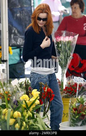 Marcia Cross, la stella delle "Desperate Housewives", trascorre una rilassante domenica mattina presso un mercato agricolo locale. Attraversa i fiori, raccogliendo alcune rose e girasoli colorati insieme a prodotti freschi. Los Angeles, California. 11/15/09 Foto Stock