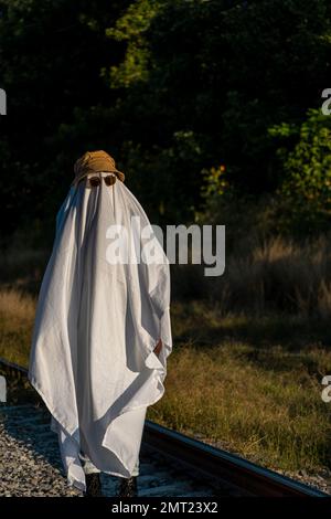 Una persona, coperta da un lenzuolo bianco, che indossa un cappello e occhiali, illuminata dalla luce del sole, in un parco, il concetto di Halloween Foto Stock