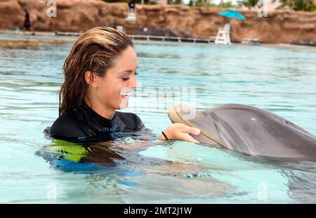 Esclusivo!! Miss Pennsylvania Lauren Merola a Dolphin Cay ad Atlantis, Paradise Island alle Bahamas 06/13/08. Foto Stock