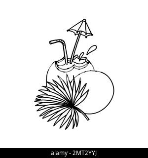 Illustrazione vettoriale del cocco in stile doodle contorno isolato su sfondo bianco. Illustrazione Vettoriale