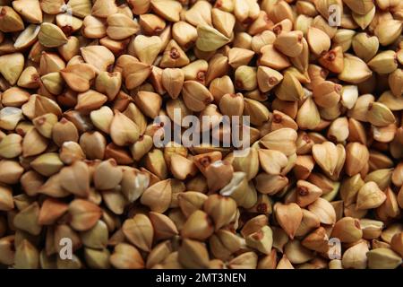 Vista in primo piano del grano saraceno verde organico come sfondo Foto Stock
