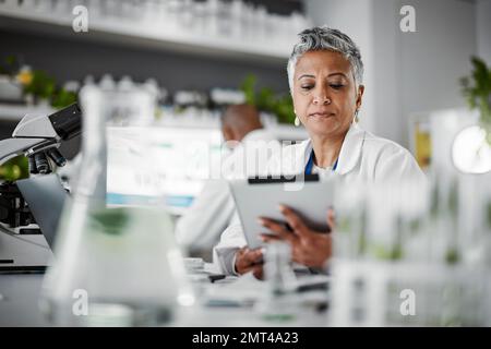 Donna, lettura o tablet in laboratorio scientifico di ricerca medica o idee innovative di ingegneria genetica ogm. Scienziato della pianta, lavoratore o. Foto Stock