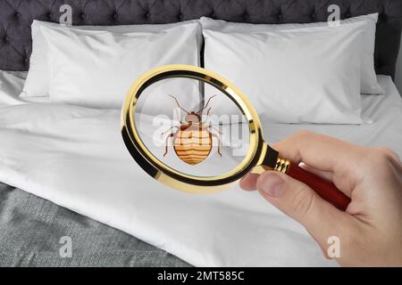 Donna con lente d'ingrandimento che rileva bug letto, primo piano Foto Stock