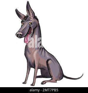 Simpatico personaggio divertente cartone animato cane. Xoloitzcuintle cane razza raster illustrazione isolatwd su sfondo bianco. Per stampa, design, sublimazione, adesivi, Foto Stock