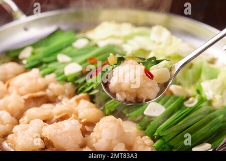 Stile giapponese stufato di carne Foto Stock